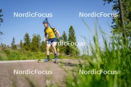 17.06.2023, Lavaze, Italy (ITA): Sebastian Samuelsson (SWE) - Biathlon summer training, Lavaze (ITA). www.nordicfocus.com. © Barbieri/NordicFocus. Every downloaded picture is fee-liable.