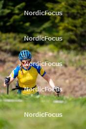 08.06.2023, Lavaze, Italy (ITA): Stina Nilsson (SWE) - Biathlon summer training, Lavaze (ITA). www.nordicfocus.com. © Barbieri/NordicFocus. Every downloaded picture is fee-liable.