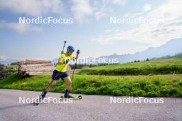 08.06.2023, Lavaze, Italy (ITA): Oskar Brandt (SWE) - Biathlon summer training, Lavaze (ITA). www.nordicfocus.com. © Barbieri/NordicFocus. Every downloaded picture is fee-liable.