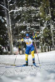 29.11.2023, Oestersund, Sweden, (SWE): Elvira Oeberg (SWE) - IBU World Cup Biathlon, relay women, Oestersund (SWE). www.nordicfocus.com. © Authamayou/NordicFocus. Every downloaded picture is fee-liable.