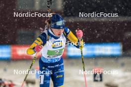 29.11.2023, Oestersund, Sweden, (SWE): Linn Persson (SWE) - IBU World Cup Biathlon, relay women, Oestersund (SWE). www.nordicfocus.com. © Manzoni/NordicFocus. Every downloaded picture is fee-liable.