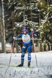 29.11.2023, Oestersund, Sweden, (SWE): Karoline Offigstad Knotten (NOR) - IBU World Cup Biathlon, relay women, Oestersund (SWE). www.nordicfocus.com. © Authamayou/NordicFocus. Every downloaded picture is fee-liable.