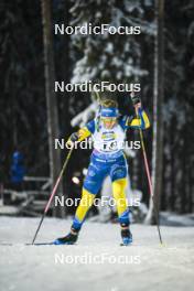 01.12.2023, Oestersund, Sweden, (SWE): Elvira Oeberg (SWE) - IBU World Cup Biathlon, sprint women, Oestersund (SWE). www.nordicfocus.com. © Authamayou/NordicFocus. Every downloaded picture is fee-liable.