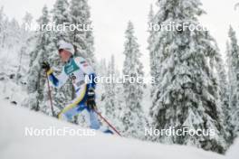 24.11.2023, Ruka, Finland (FIN): William Poromaa (SWE) - FIS world cup cross-country, individual sprint, Ruka (FIN). www.nordicfocus.com. © Modica/NordicFocus. Every downloaded picture is fee-liable.