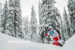 24.11.2023, Ruka, Finland (FIN): Maciej Starega (POL) - FIS world cup cross-country, individual sprint, Ruka (FIN). www.nordicfocus.com. © Modica/NordicFocus. Every downloaded picture is fee-liable.