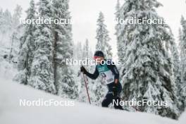 24.11.2023, Ruka, Finland (FIN): Elia Barp (ITA) - FIS world cup cross-country, individual sprint, Ruka (FIN). www.nordicfocus.com. © Modica/NordicFocus. Every downloaded picture is fee-liable.