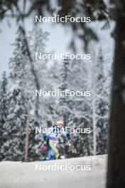 09.12.2023, Oestersund, Sweden (SWE): Frida Karlsson (SWE) - FIS world cup cross-country, individual sprint, Oestersund (SWE). www.nordicfocus.com. © Modica/NordicFocus. Every downloaded picture is fee-liable.