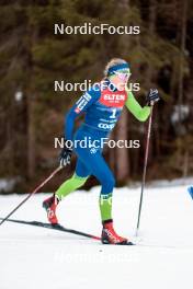 31.12.2023, Toblach, Italy (ITA): Anja Mandeljc (SLO) - FIS world cup cross-country, tour de ski, 10km, Toblach (ITA). www.nordicfocus.com. © Modica/NordicFocus. Every downloaded picture is fee-liable.