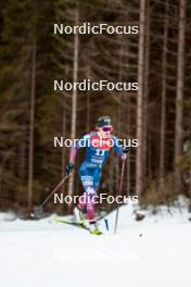 31.12.2023, Toblach, Italy (ITA): Novie Mccabe (USA) - FIS world cup cross-country, tour de ski, 10km, Toblach (ITA). www.nordicfocus.com. © Modica/NordicFocus. Every downloaded picture is fee-liable.