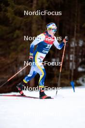 31.12.2023, Toblach, Italy (ITA): Lisa Ingesson (SWE) - FIS world cup cross-country, tour de ski, 10km, Toblach (ITA). www.nordicfocus.com. © Modica/NordicFocus. Every downloaded picture is fee-liable.