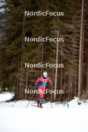 31.12.2023, Toblach, Italy (ITA): Kristin Austgulen Fosnaes (NOR) - FIS world cup cross-country, tour de ski, 10km, Toblach (ITA). www.nordicfocus.com. © Modica/NordicFocus. Every downloaded picture is fee-liable.