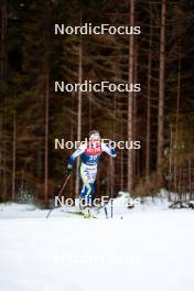 31.12.2023, Toblach, Italy (ITA): Ebba Andersson (SWE) - FIS world cup cross-country, tour de ski, 10km, Toblach (ITA). www.nordicfocus.com. © Modica/NordicFocus. Every downloaded picture is fee-liable.