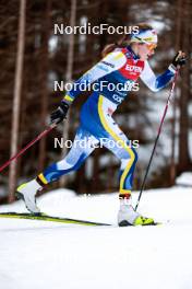 31.12.2023, Toblach, Italy (ITA): Ebba Andersson (SWE) - FIS world cup cross-country, tour de ski, 10km, Toblach (ITA). www.nordicfocus.com. © Modica/NordicFocus. Every downloaded picture is fee-liable.