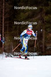 31.12.2023, Toblach, Italy (ITA): Lisa Ingesson (SWE) - FIS world cup cross-country, tour de ski, 10km, Toblach (ITA). www.nordicfocus.com. © Modica/NordicFocus. Every downloaded picture is fee-liable.