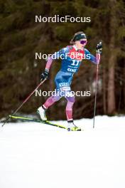 31.12.2023, Toblach, Italy (ITA): Novie Mccabe (USA) - FIS world cup cross-country, tour de ski, 10km, Toblach (ITA). www.nordicfocus.com. © Modica/NordicFocus. Every downloaded picture is fee-liable.