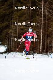 31.12.2023, Toblach, Italy (ITA): Astrid Oeyre Slind (NOR) - FIS world cup cross-country, tour de ski, 10km, Toblach (ITA). www.nordicfocus.com. © Modica/NordicFocus. Every downloaded picture is fee-liable.