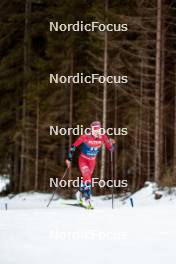 31.12.2023, Toblach, Italy (ITA): Silje Theodorsen (NOR) - FIS world cup cross-country, tour de ski, 10km, Toblach (ITA). www.nordicfocus.com. © Modica/NordicFocus. Every downloaded picture is fee-liable.