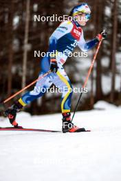 31.12.2023, Toblach, Italy (ITA): Lisa Ingesson (SWE) - FIS world cup cross-country, tour de ski, 10km, Toblach (ITA). www.nordicfocus.com. © Modica/NordicFocus. Every downloaded picture is fee-liable.