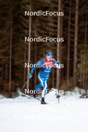 31.12.2023, Toblach, Italy (ITA): Krista Parmakoski (FIN) - FIS world cup cross-country, tour de ski, 10km, Toblach (ITA). www.nordicfocus.com. © Modica/NordicFocus. Every downloaded picture is fee-liable.