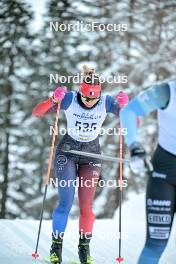 17.12.2023, Val Venosta, Italy (ITA): Laurie Flochon-Joly (FRA) - Ski Classics La Venosta ITT - Val Venosta (ITA). www.nordicfocus.com. © Reichert/NordicFocus. Every downloaded picture is fee-liable.