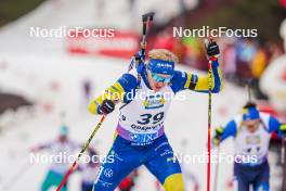 06.01.2024, Oberhof, Germany (GER): Emil Nykvist (SWE) - IBU World Cup Biathlon, pursuit men, Oberhof (GER). www.nordicfocus.com. © Thibaut/NordicFocus. Every downloaded picture is fee-liable.