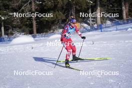 19.01.2024, Antholz, Italy (ITA): Anna Gandler (AUT) - IBU World Cup Biathlon, short individual women, Antholz (ITA). www.nordicfocus.com. © Thibaut/NordicFocus. Every downloaded picture is fee-liable.