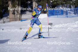 19.01.2024, Antholz, Italy (ITA): Elvira Oeberg (SWE) - IBU World Cup Biathlon, short individual women, Antholz (ITA). www.nordicfocus.com. © Thibaut/NordicFocus. Every downloaded picture is fee-liable.