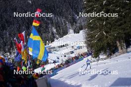 19.01.2024, Antholz, Italy (ITA): Anastasiya Merkushyna (UKR) - IBU World Cup Biathlon, short individual women, Antholz (ITA). www.nordicfocus.com. © Thibaut/NordicFocus. Every downloaded picture is fee-liable.