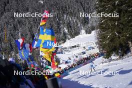 19.01.2024, Antholz, Italy (ITA): Anastasia Tolmacheva (ROU) - IBU World Cup Biathlon, short individual women, Antholz (ITA). www.nordicfocus.com. © Thibaut/NordicFocus. Every downloaded picture is fee-liable.