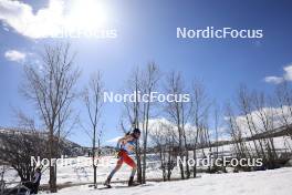 08.03.2024, Soldier Hollow, United States of America (USA): Jeremy Finello (SUI) - IBU World Cup Biathlon, relay men, Soldier Hollow (USA). www.nordicfocus.com. © Manzoni/NordicFocus. Every downloaded picture is fee-liable.