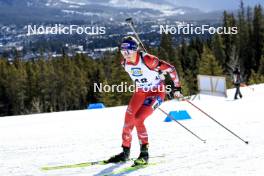 14.03.2024, Canmore, Canada (CAN): Lisa Theresa Hauser (AUT) - IBU World Cup Biathlon, sprint women, Canmore (CAN). www.nordicfocus.com. © Manzoni/NordicFocus. Every downloaded picture is fee-liable.