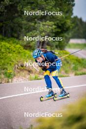 15.06.2024, Lavaze, Italy (ITA): Jesper Nelin (SWE) - Biathlon summer training, Lavaze (ITA). www.nordicfocus.com. © Barbieri/NordicFocus. Every downloaded picture is fee-liable.