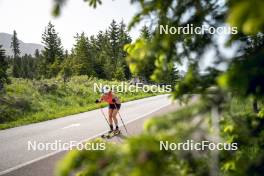 19.06.2024, Lavaze, Italy (ITA): Dorothea Wierer (ITA) - Biathlon summer training, Lavaze (ITA). www.nordicfocus.com. © Vanzetta/NordicFocus. Every downloaded picture is fee-liable.