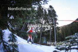 07.11.2024, Davos, Switzerland (SUI): Sebastian Stalder (SUI) - Biathlon training, snowfarming track, Davos (SUI). www.nordicfocus.com. © Manzoni/NordicFocus. Every downloaded picture is fee-liable.