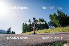 31.07.2024, Lavaze, Italy (ITA): Lea Rothschopf (AUT) - Biathlon summer training, Lavaze (ITA). www.nordicfocus.com. © Barbieri/NordicFocus. Every downloaded picture is fee-liable.