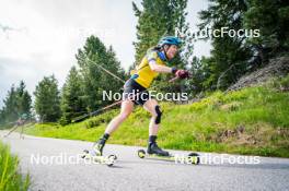 15.06.2024, Lavaze, Italy (ITA): Hanna Oeberg (SWE) - Biathlon summer training, Lavaze (ITA). www.nordicfocus.com. © Barbieri/NordicFocus. Every downloaded picture is fee-liable.