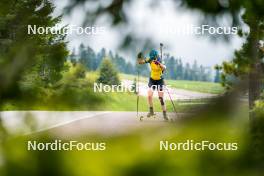 15.06.2024, Lavaze, Italy (ITA): Hanna Oeberg (SWE) - Biathlon summer training, Lavaze (ITA). www.nordicfocus.com. © Barbieri/NordicFocus. Every downloaded picture is fee-liable.