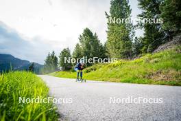 15.06.2024, Lavaze, Italy (ITA): Jesper Nelin (SWE) - Biathlon summer training, Lavaze (ITA). www.nordicfocus.com. © Barbieri/NordicFocus. Every downloaded picture is fee-liable.