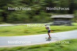 26.08.2024, Martell, Italy (ITA): Tommaso Giacomel (ITA) - Biathlon summer training, Martell (ITA). www.nordicfocus.com. © Vanzetta/NordicFocus. Every downloaded picture is fee-liable.