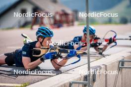 06.06.2024, Lavaze, Italy (ITA): Martin Ponsiluoma (SWE) - Biathlon summer training, Lavaze (ITA). www.nordicfocus.com. © Barbieri/NordicFocus. Every downloaded picture is fee-liable.