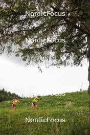 11.06.2024, Premanon, France (FRA): Lou Jeanmonnot (FRA), Justine Braisaz-Bouchet (FRA) - Biathlon summer training, Premanon (FRA). www.nordicfocus.com. © Manzoni/NordicFocus. Every downloaded picture is fee-liable.