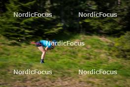 06.06.2024, Lavaze, Italy (ITA): Elvira Oeberg (SWE) - Biathlon summer training, Lavaze (ITA). www.nordicfocus.com. © Barbieri/NordicFocus. Every downloaded picture is fee-liable.