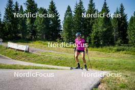 31.07.2024, Lavaze, Italy (ITA): Dunja Zdouc (AUT) - Biathlon summer training, Lavaze (ITA). www.nordicfocus.com. © Barbieri/NordicFocus. Every downloaded picture is fee-liable.