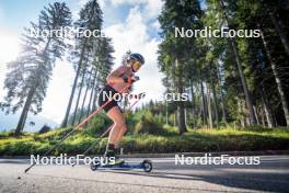 06.08.2024, Lavaze, Italy (ITA): Anna Juppe (AUT) - Biathlon summer training, Lavaze (ITA). www.nordicfocus.com. © Barbieri/NordicFocus. Every downloaded picture is fee-liable.