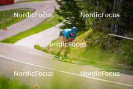 06.06.2024, Lavaze, Italy (ITA): Sara Andersson (SWE) - Biathlon summer training, Lavaze (ITA). www.nordicfocus.com. © Barbieri/NordicFocus. Every downloaded picture is fee-liable.