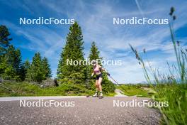 28.06.2024, Lavaze, Italy (ITA): Ida Lien (NOR) - Biathlon summer training, Lavaze (ITA). www.nordicfocus.com. © Barbieri/NordicFocus. Every downloaded picture is fee-liable.