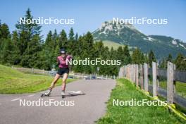 31.07.2024, Lavaze, Italy (ITA): Lara Wagner (AUT) - Biathlon summer training, Lavaze (ITA). www.nordicfocus.com. © Barbieri/NordicFocus. Every downloaded picture is fee-liable.