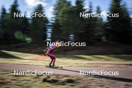 22.10.2024, Lavaze, Italy (ITA): Johannes Thingnes Boe (NOR) - Biathlon summer training, Lavaze (ITA). www.nordicfocus.com. © Vanzetta/NordicFocus. Every downloaded picture is fee-liable.