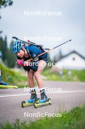 15.06.2024, Lavaze, Italy (ITA): Sara Andersson (SWE) - Biathlon summer training, Lavaze (ITA). www.nordicfocus.com. © Barbieri/NordicFocus. Every downloaded picture is fee-liable.