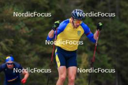 11.10.2024, Ramsau am Dachstein, Austria (AUT): Bogdan Tsymbal (UKR) - Biathlon summer training, Dachsteinglacier, Ramsau am Dachstein (AUT). www.nordicfocus.com. © Manzoni/NordicFocus. Every downloaded picture is fee-liable.